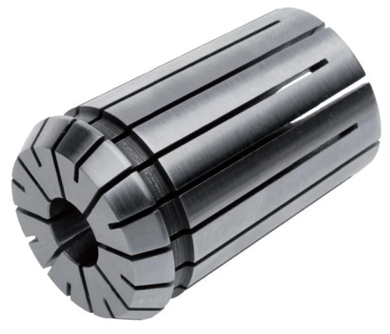 alicon1-2835204
