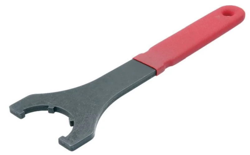 alicon1-2839562