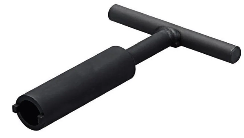 alicon1-2839686