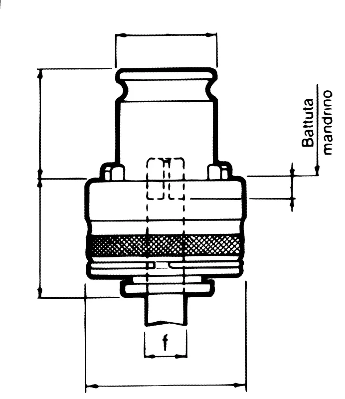 alicon1-2842652