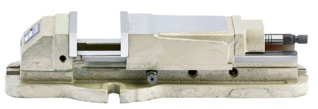 alicon1-2863872