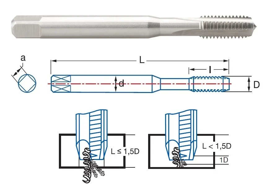 alicon1-2917405