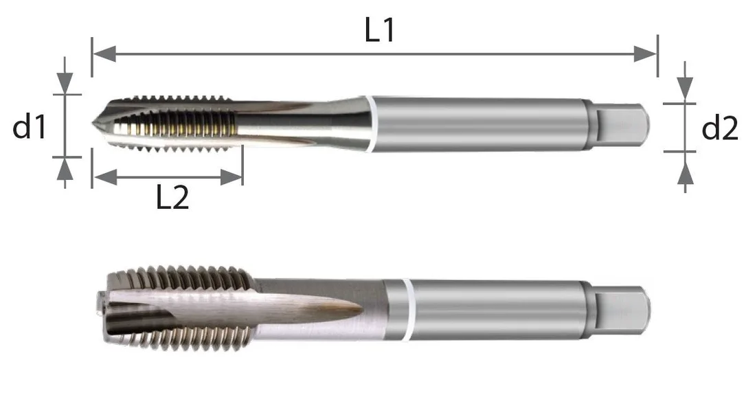 alicon1-2919706