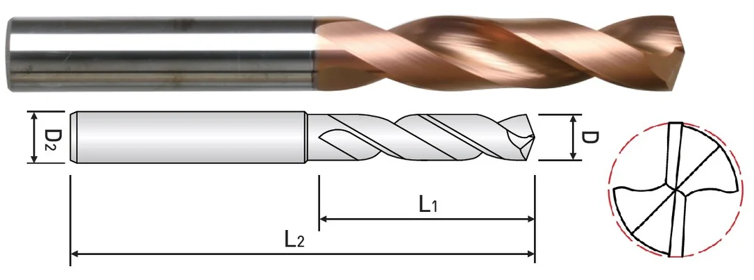 alicon1-2998388