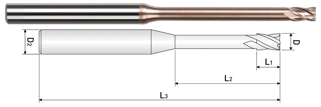 alicon1-3122074