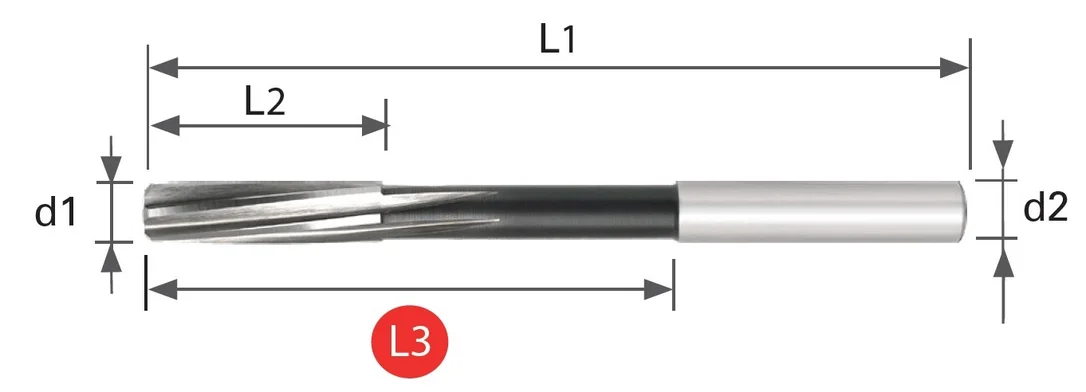 alicon1-3191964