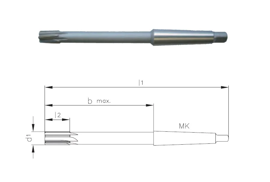 alicon1-3224728
