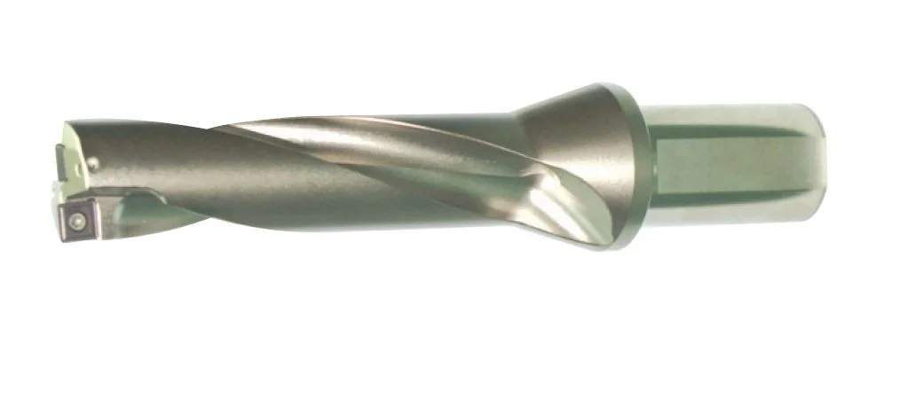 alicon2-2859788