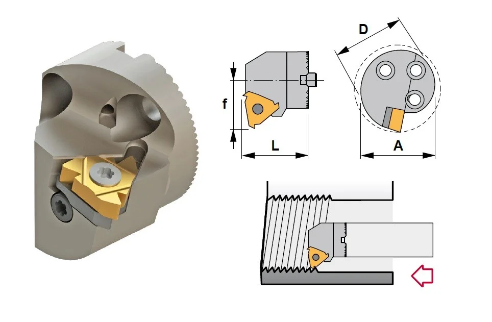 alicon2-2878590