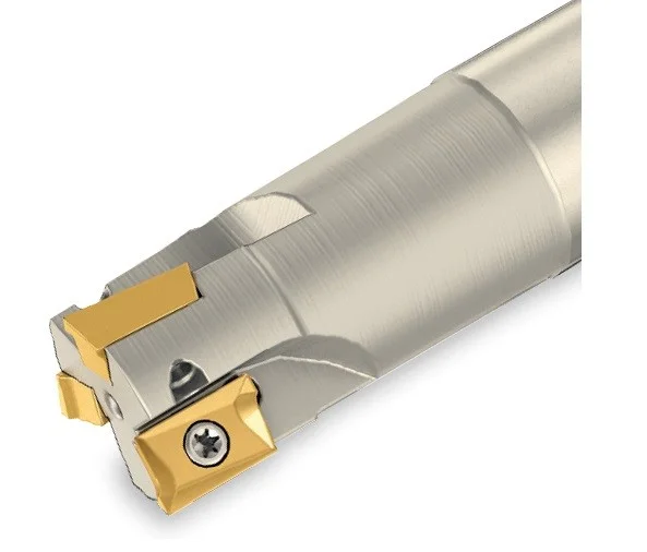 alicon2-2914411