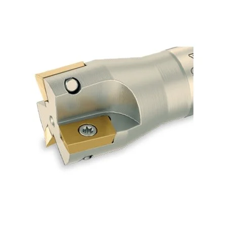 alicon2-2920328