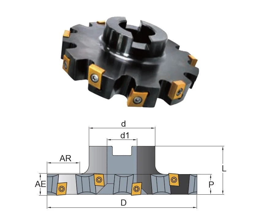 alicon5-2887029
