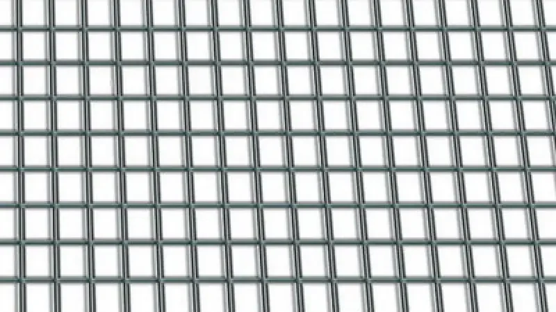boukal1-3280780