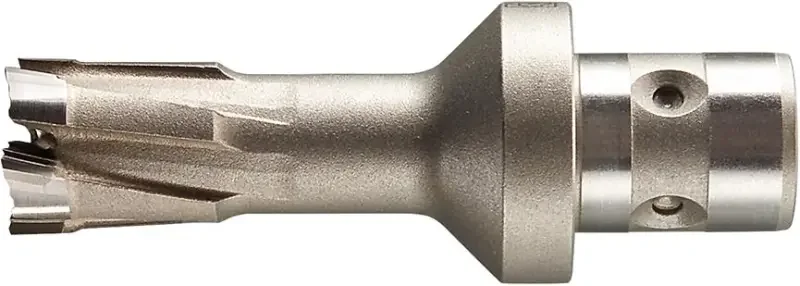 boukal1-3338990