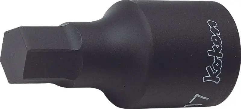 boukal2-3330759
