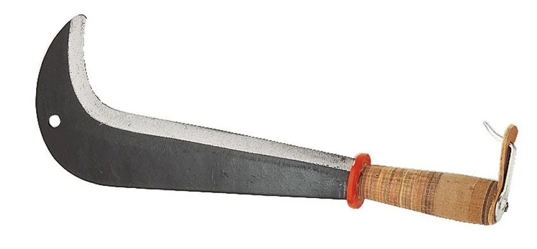 jarabak-3203940