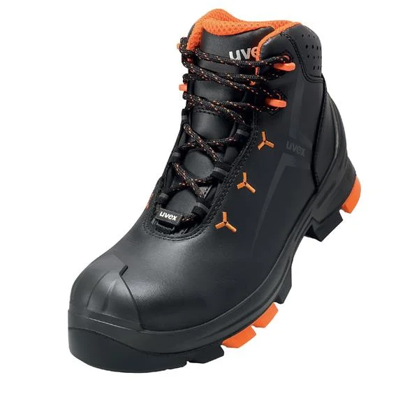 landsmann2-2943954