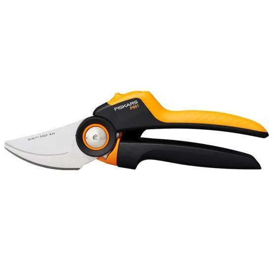 naradihornig-3069683