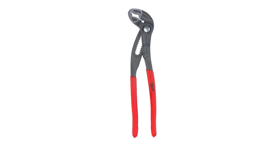 naradihornig-3130064