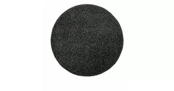 peddy-2995225