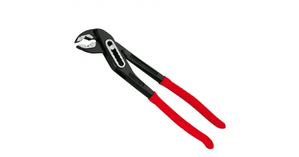 peddy-3003332