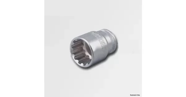 peddy-3032891