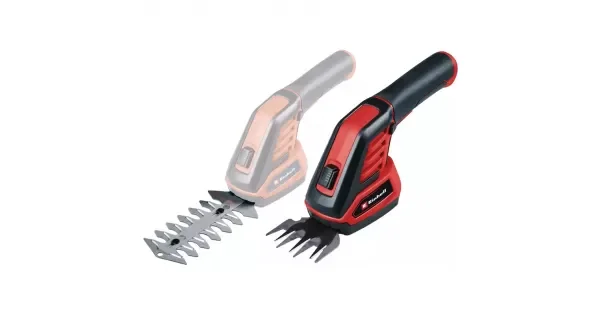 peddy-3053843