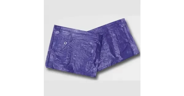 peddy-3093442