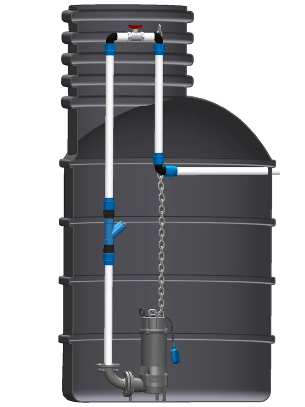 pkvplus-2828818