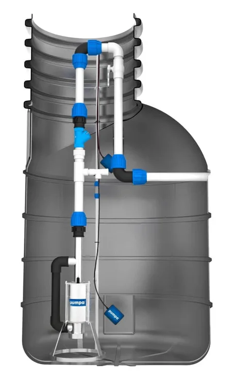 pkvplus-2828824